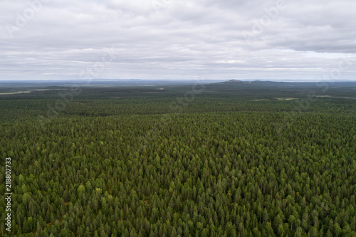 Aerial view of vast boreal forest as far as eye can see