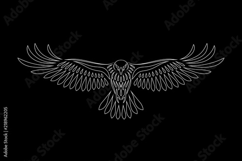 Engraving of stylized hawk on black background. Linear drawing. Decorative bird.