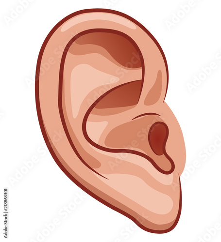 Vector ear on white background