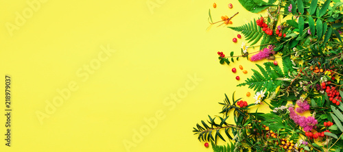Ingredients of herbal alternative medicine, holistic and naturopathy approach on yellow background. Herbs, flowers for herbal tea. Top view, copy space, flat lay