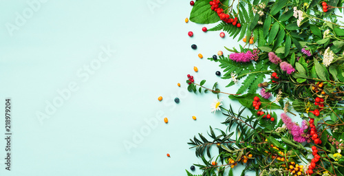 Ingredients of herbal alternative medicine, holistic and naturopathy approach on blue background. Herbs, flowers for herbal tea. Top view, copy space, flat lay