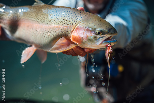 Fly Fishing for Trout 