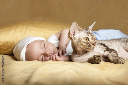 Devon Rex Cat with Sleeping Baby