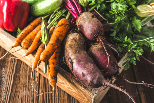 Bio food. Garden produce and harvested vegetable. Fresh farm vegetables in wooden box. Carrots and beets.