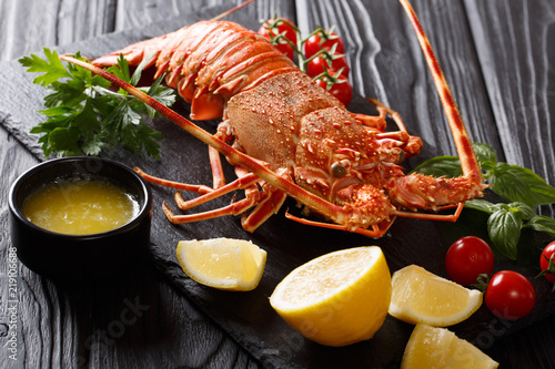 boiled Red or Spiny Rock lobster with vegetables and melted butter close-up on a black background