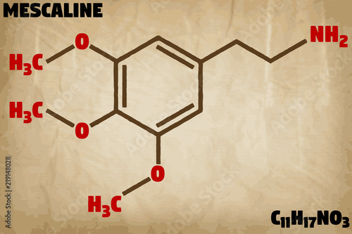 Detailed infographic illustration of the molecule of Mesacline.