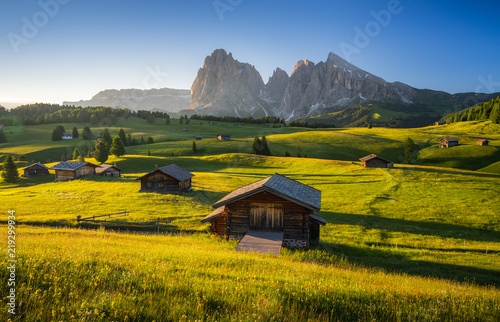 Seiser Alm (Alpe di Siusi) with Langkofel mountain at sunrise in summer, Italy