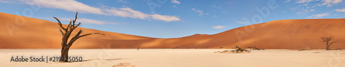 Namibian desert landscape, Overview with union of different images
