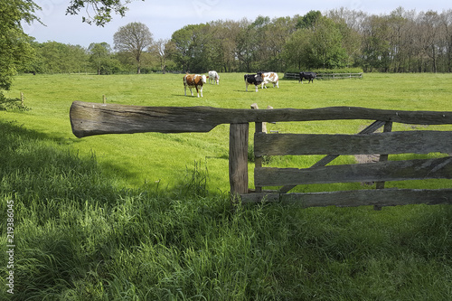 Meadow fence with counterweight