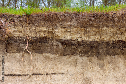 Stratigraphic section of soil with layers and grass roots. Russia, Rostov-on-Don region