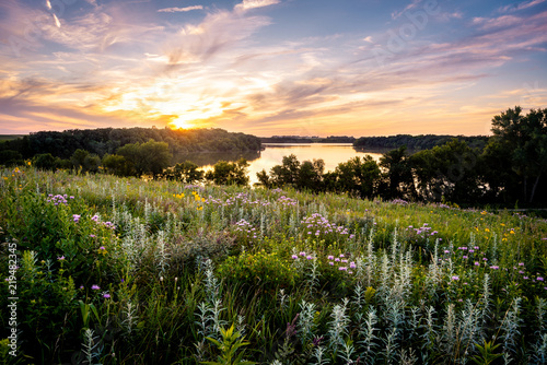 Wildflowers over the Lake at sunset