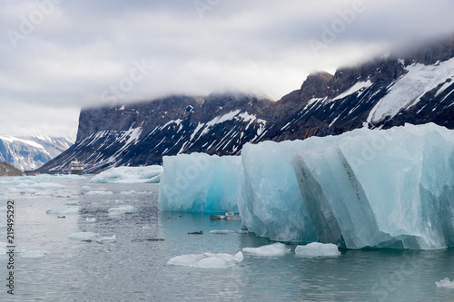 Ice floating around the glacier Burgerbukta, Svalbard.