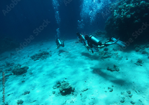 Scuba divers under the water, red sea