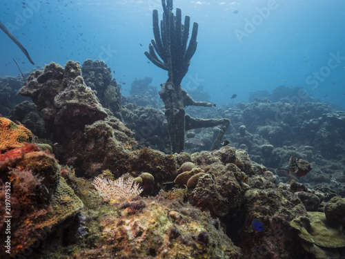 Seascape of coral reef / Caribbean Sea / Curacao with Neptun / Poseidon statue, various hard and soft corals, sponges and sea fan