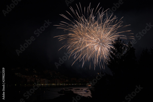 panoramic view of omegna during a fireworks display