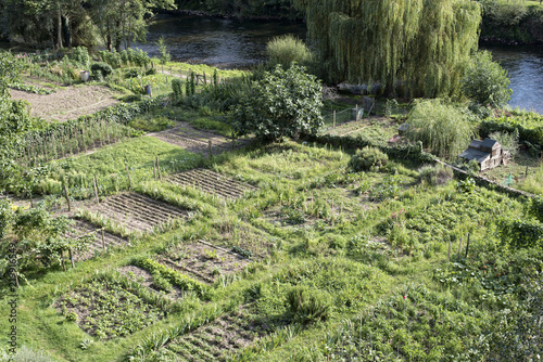 jardin potager près d'une rivière