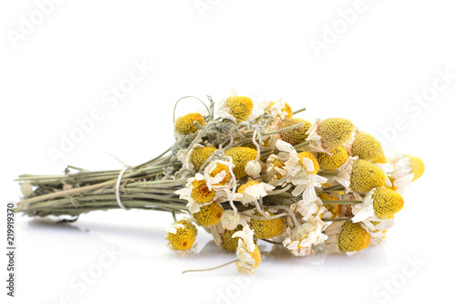 Dried flowers of medical daisies on a white background