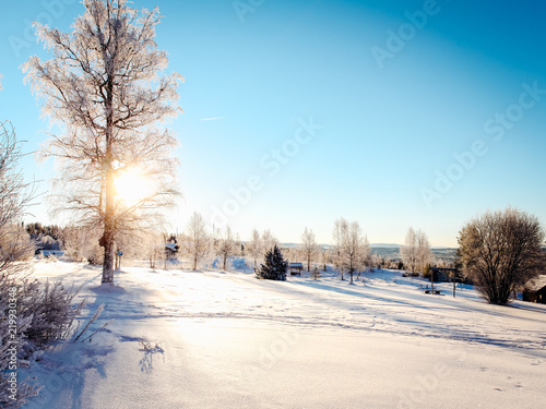 vinterdag på fjället, nyfallen snö och blå himmel