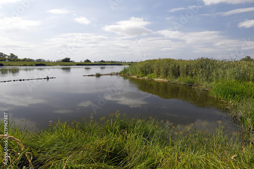 Überschwemmungsgebiet im Natura 2000 Gebiet "Dolna Odra" mit Blick auf Brandenburg / Nationalpark Unteres Odertal / Polen 