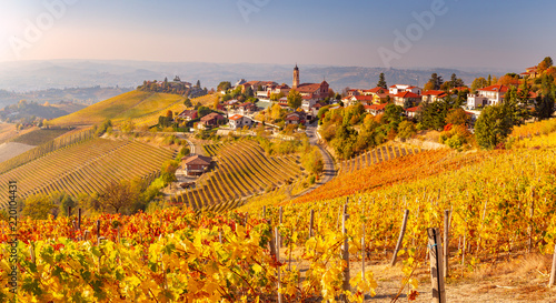 Treiso in Autunno, Langhe, Piemonte, Italia