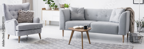 Real photo of grey armchair with fur cushion and sofa standing in white sitting room interior with small coffee table with book and mug placed on carpet