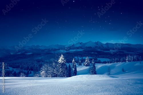 Starry winter night