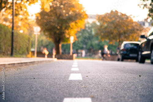 Urbane Stadtgegend im Herbst, Straße Froschperspektive, Asphalt und Bäume