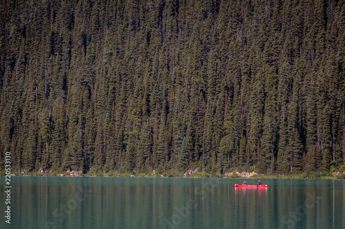 Tourists kayaking with pine trees in the background