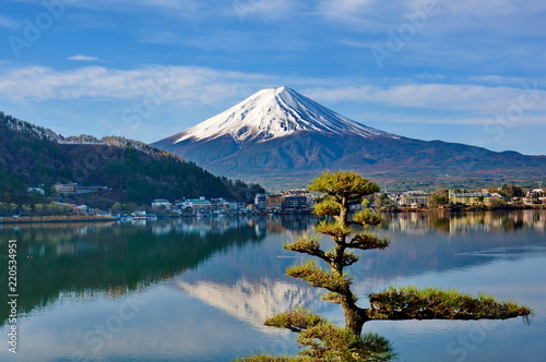 Mount Fuji In Early Morning With Reflection On Lake Kawaguchiko And Little Tree In Front, Japanese Scenery