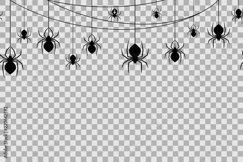 Seamless pattern with spiders for Halloween celebration on transparent background. Vector Illustration.