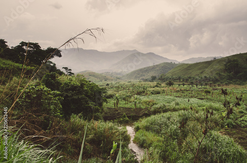 River, plantations, mountains and lush green tropical vegetation on overcast day at Ring Road, Cameroon, Africa