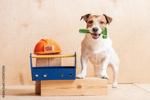 Dog as amusing builder holding hammer in mouth standing near hardhat