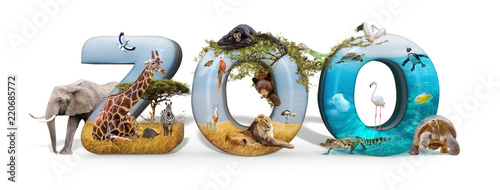 Zoo 3D Word and Animal Composite