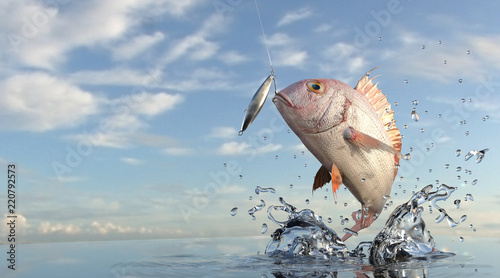 Pargus Snapper out of sea jumped for lure jig bait, great sea view