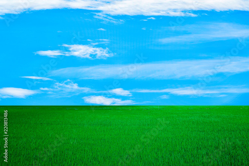 white cloud on blue sky and green field background Nature Landscape.in thailand summer.parks/outdoor.
