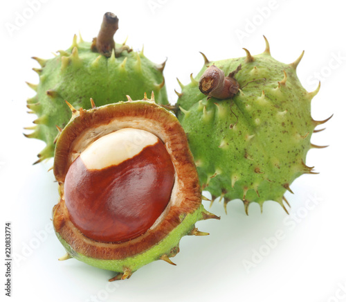 Horse chestnuts