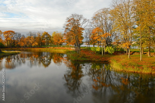 Estonia. Golden Autumn in the countryside.