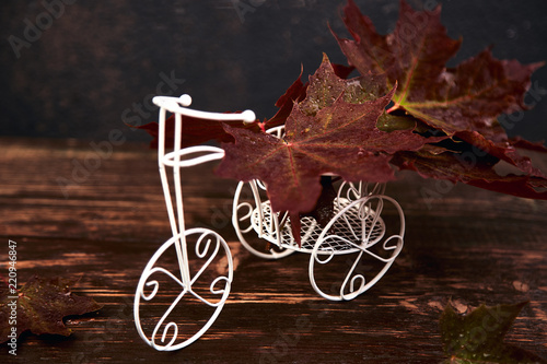 Creative layout of bicycle miniature with colorful autumn leaves.