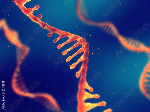 Single strand ribonucleic acid, RNA research and therapy