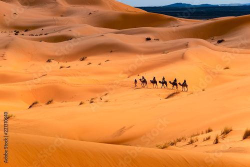 Camel ride through the desert