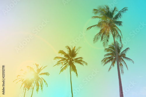 Coconut palm trees. Vintage toned