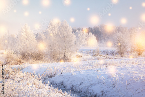 Winter landscape. Christmas Holiday Background with color snowflakes. Magic winter. Sun shine on snowy trees and plants with hoarfrost