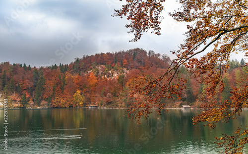 Green water lake and autumn forest