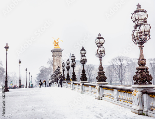 The Alexander III Bridge in Paris in snow. Paris