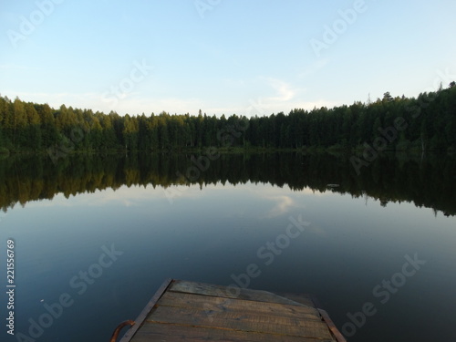 reflection of trees in lake