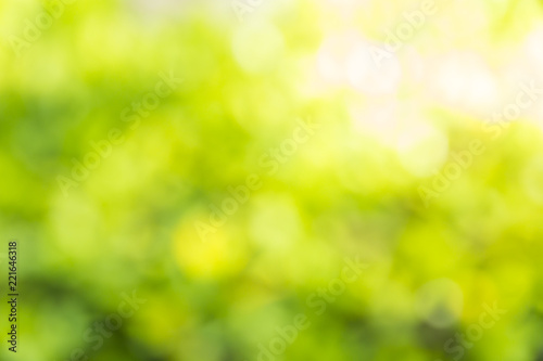 bokeh natural green blurred abstract background
