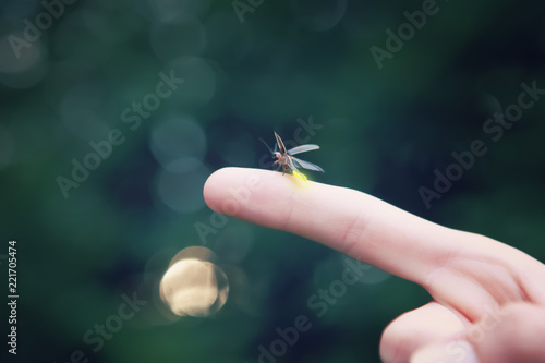 Firefly on a child's finger getting ready to take off