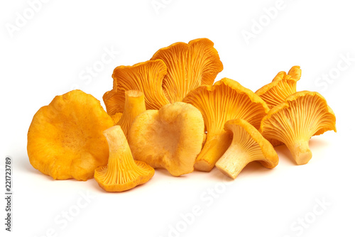 Raw fresh chanterelles mushrooms, isolated on white background.