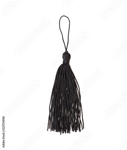 Silk tassel isolated on white background for creating graphic concepts