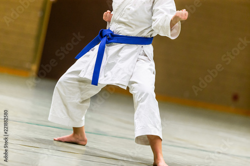 Karate Shotokan Kata